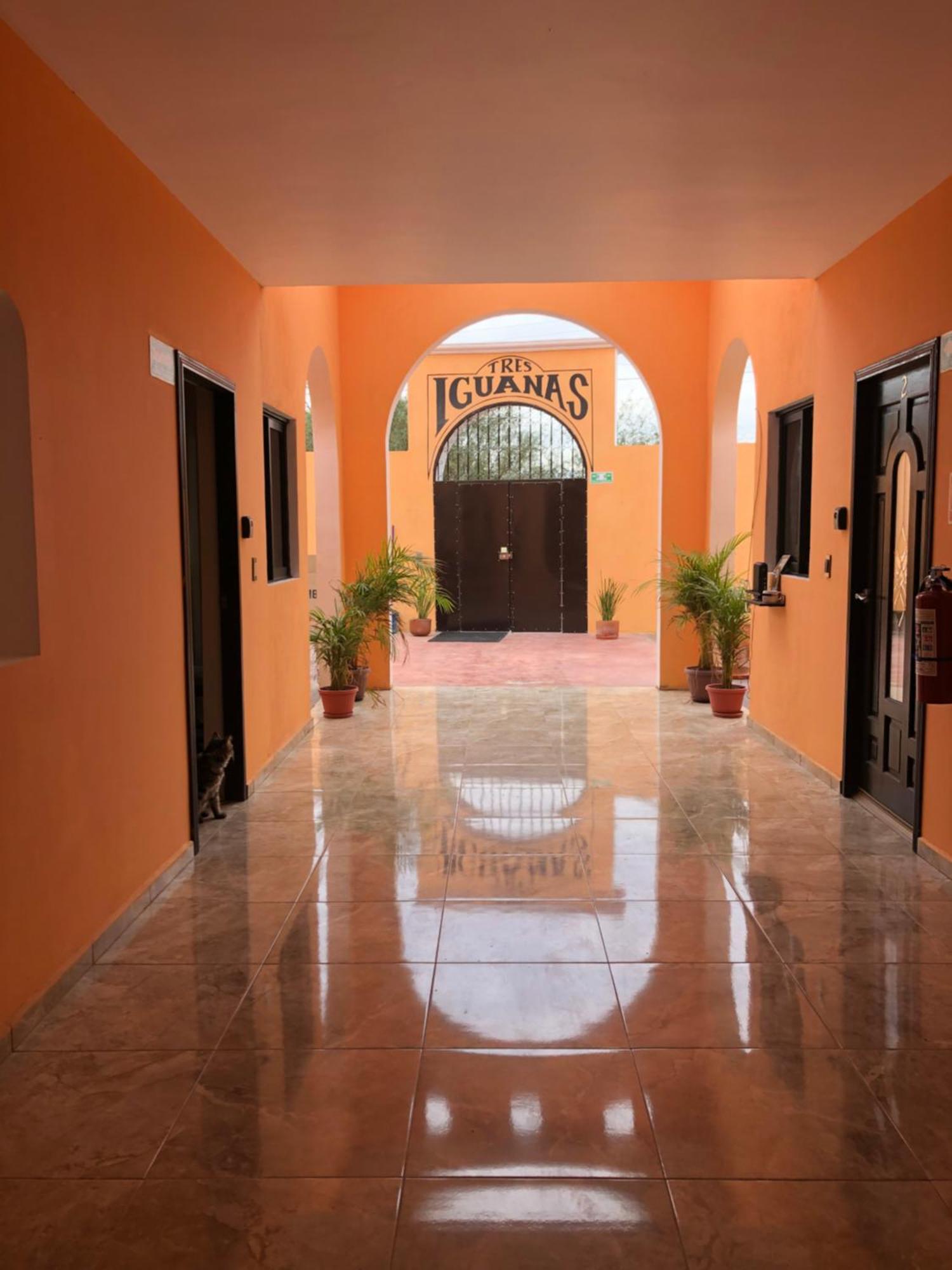 Tres Iguanas Apart Hotel - New, Cozy & Spacious Flats, Short Walk To Beach Loreto  Kültér fotó