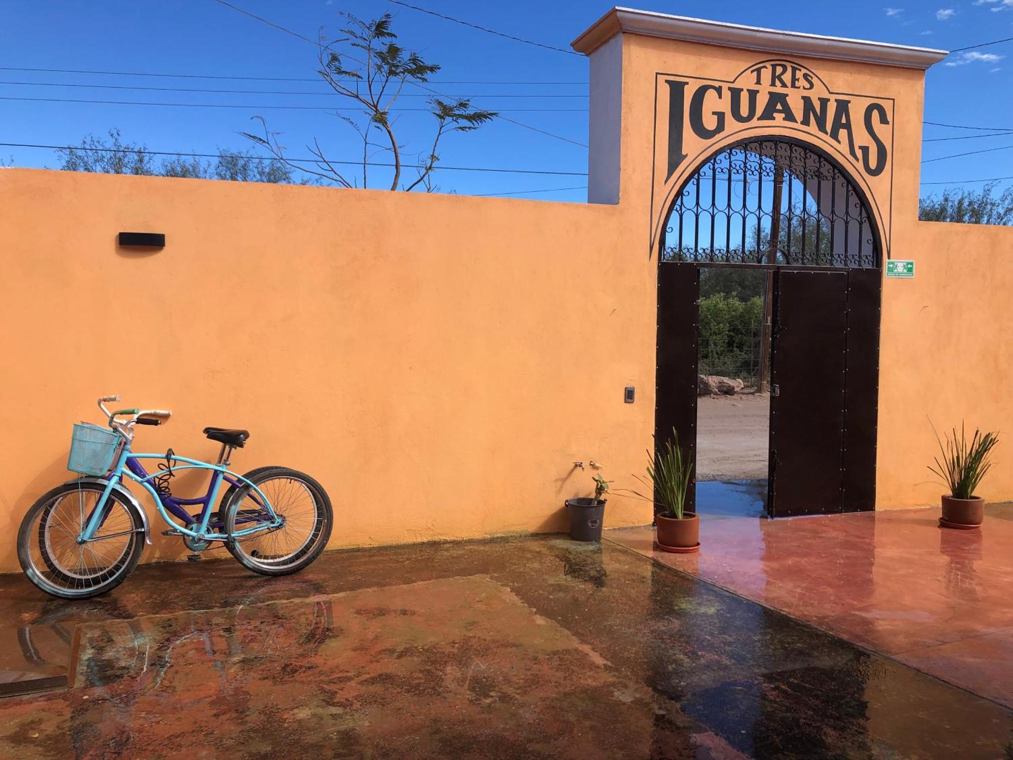 Tres Iguanas Apart Hotel - New, Cozy & Spacious Flats, Short Walk To Beach Loreto  Kültér fotó