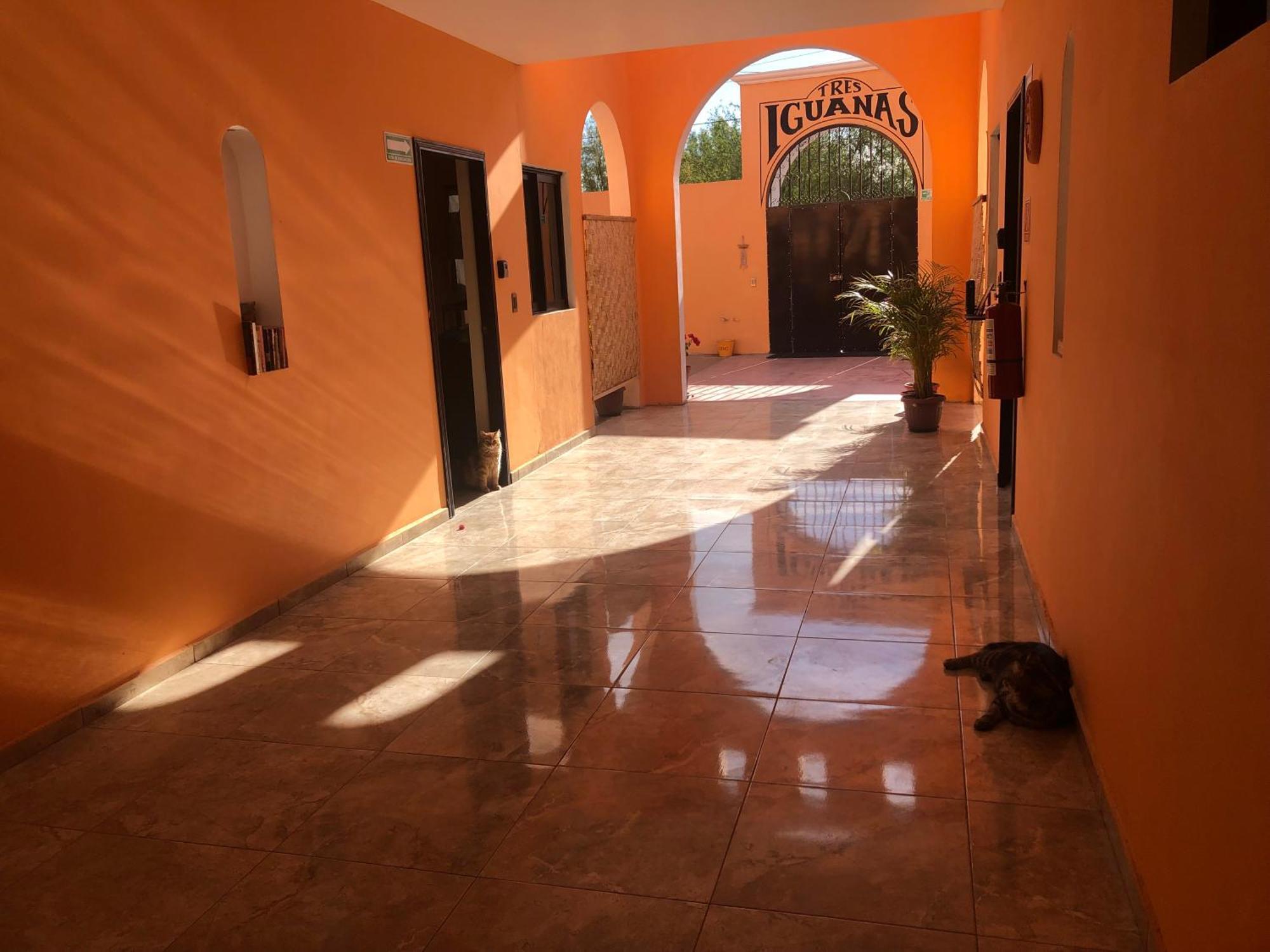 Tres Iguanas Apart Hotel - New, Cozy & Spacious Flats, Short Walk To Beach Loreto  Kültér fotó