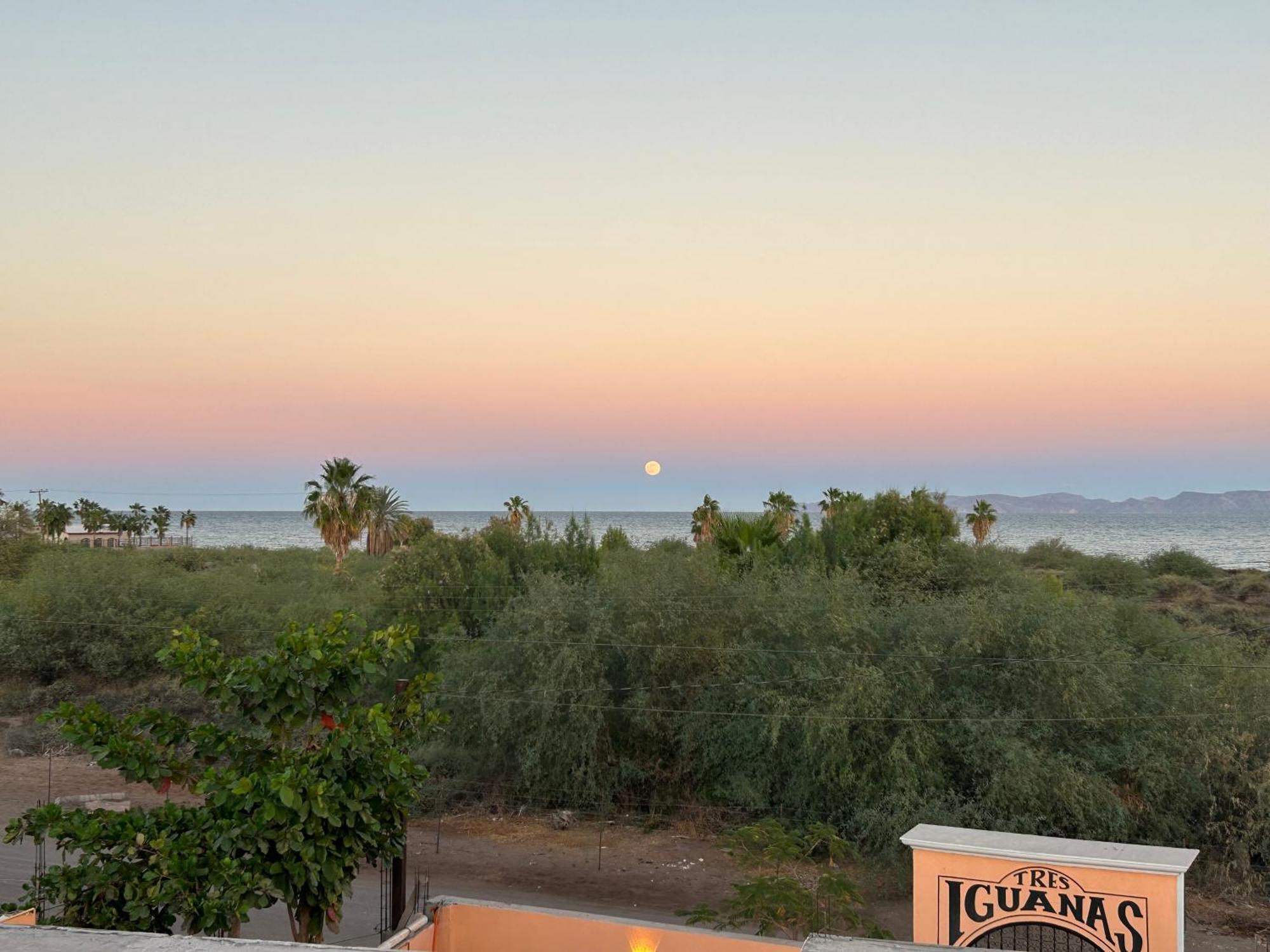 Tres Iguanas Apart Hotel - New, Cozy & Spacious Flats, Short Walk To Beach Loreto  Kültér fotó